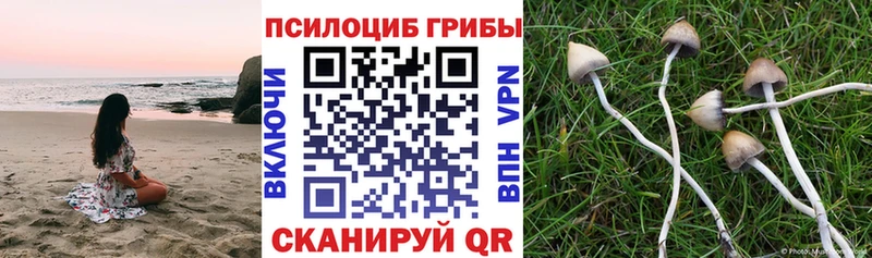 Галлюциногенные грибы Psilocybe ссылка на мегу зеркало Похвистнево
